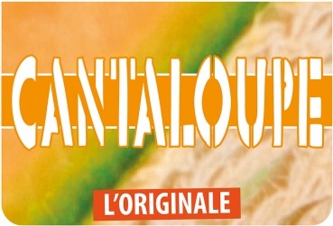 Flavourart Aroma - Cantaloupemelone 10ml